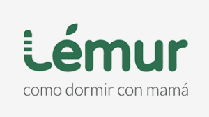 lemur-gris